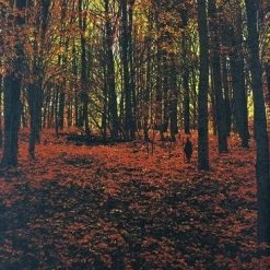 Art Prints Elder Days - 2010 Dan McCarthy Poster Art Print