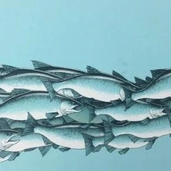 Art Prints Salmon Run - 2015 Justin Santora Poster Art Print