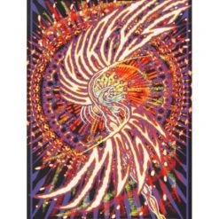 Colorado Umphrey's McGee - 2019 Brad Klausen Poster Denver, CO S/#'d