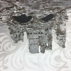 Dead Meadow/Sweet Apple - 2011 Dan MacAdam Crosshair Poster Los Angeles, CA Spac